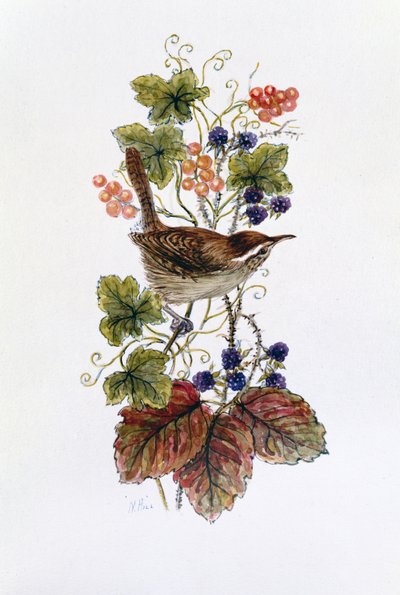 Wren on a Spray of Berries by Nell Hill